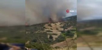 KKTC'nin Yeşilırmak köyünde yangınTürkiye'den yangın söndürme helikopteri yola çıktı