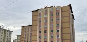 Sivas'ta Kuvvetli Rüzgar Apartmanın Çatısını Söktü