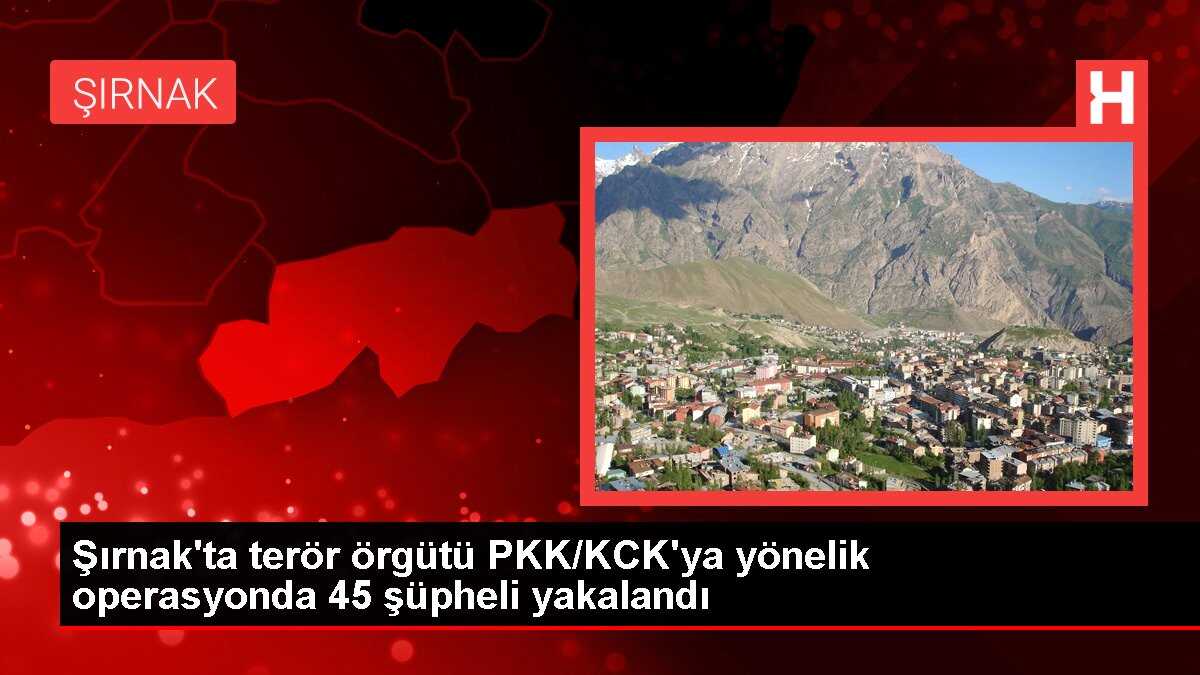Şırnak'ta terör örgütü PKK/KCK'ya yönelik operasyonda 45 şüpheli yakalandı