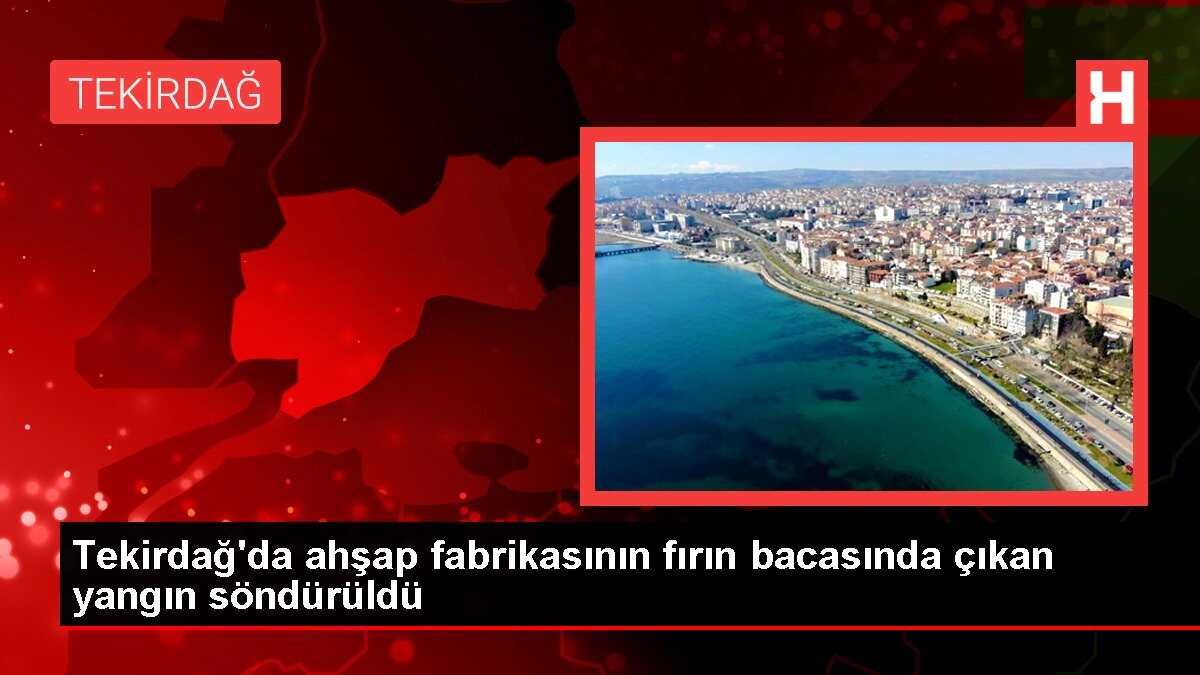 Tekirdağ'da ahşap fabrikasının fırın bacasında çıkan yangın söndürüldü