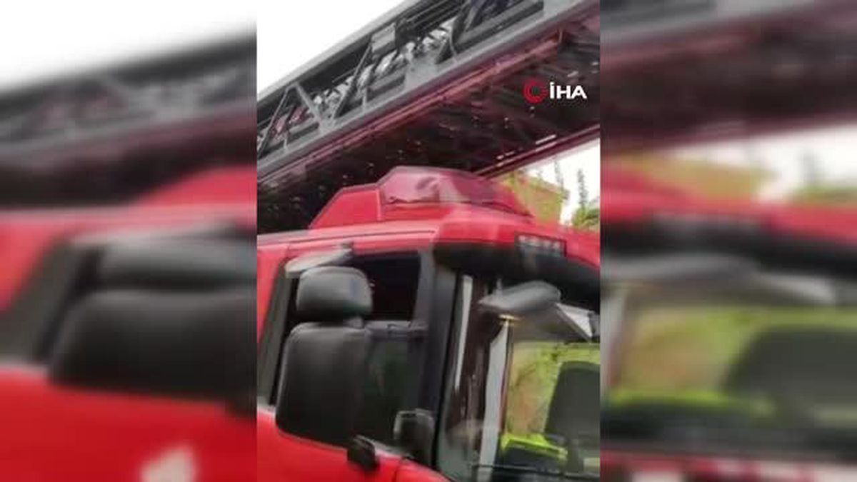 Çatıya çıkıp mahsur kalan keçileri itfaiye kurtardı