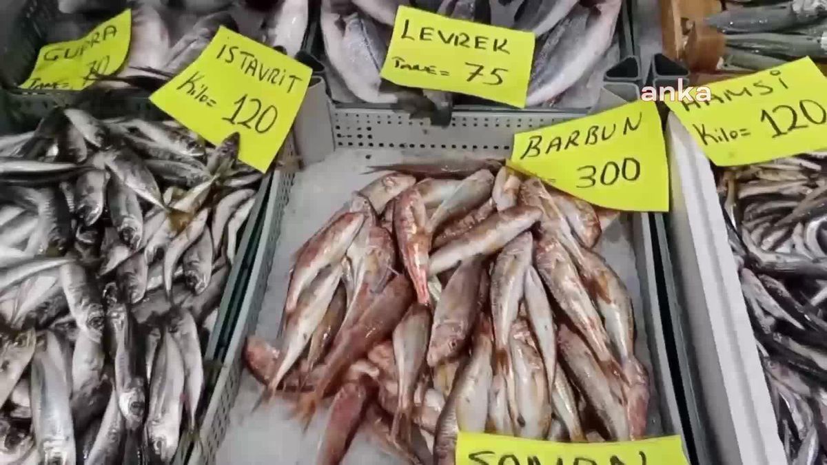 Av Yasağıyla Balık Fiyatları Yükseliyor