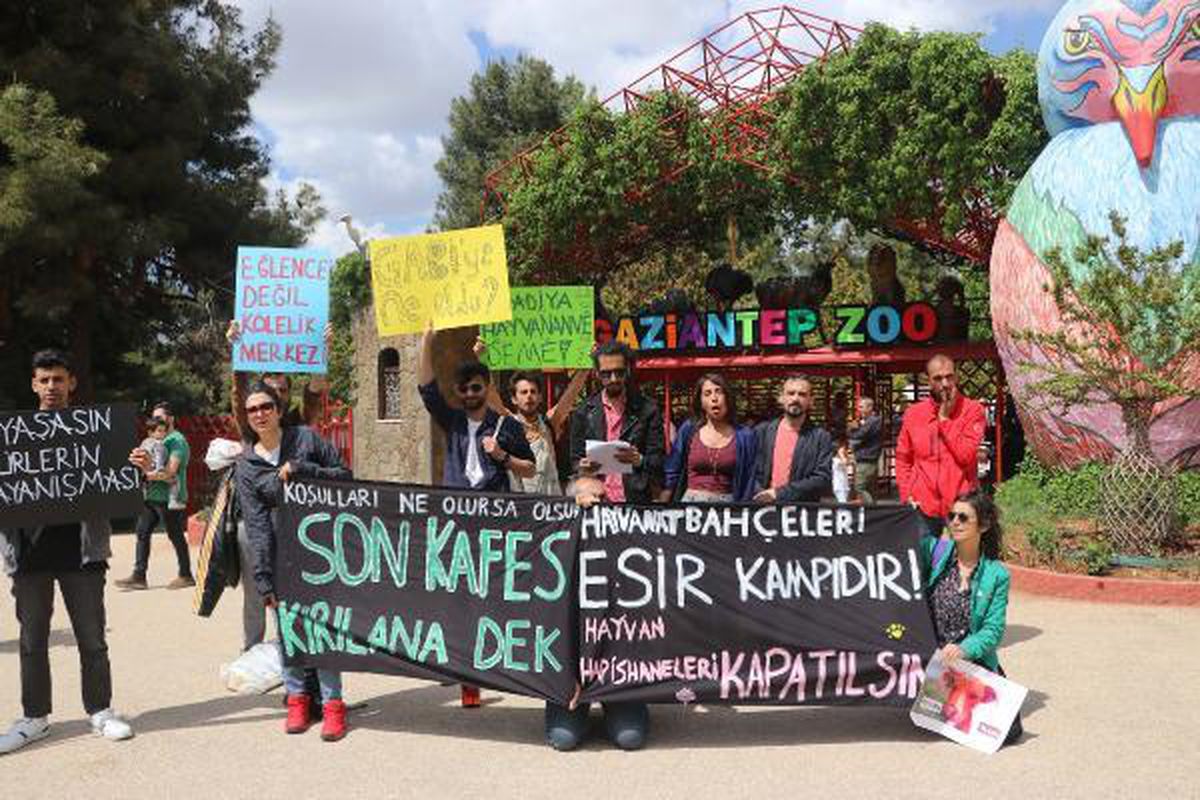 Gaziantep Hayvanat Bahçesi'ne Kapatılma Talebi