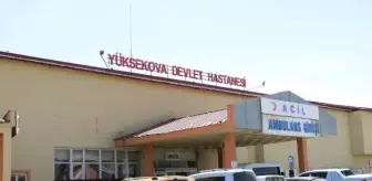 Hakkari'de pancar toplayan kişi ayı saldırısına uğradı