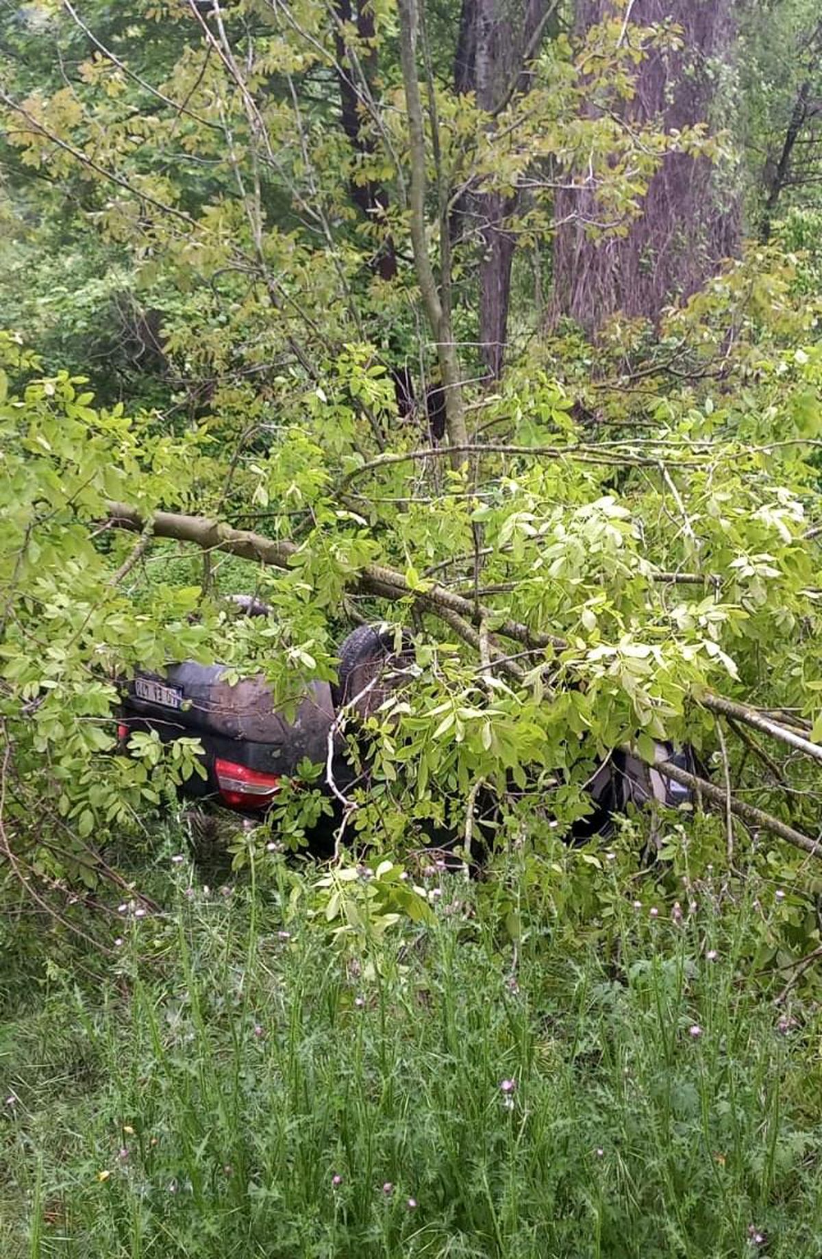 Zonguldak'ta trafik kazası: 1 yaralı