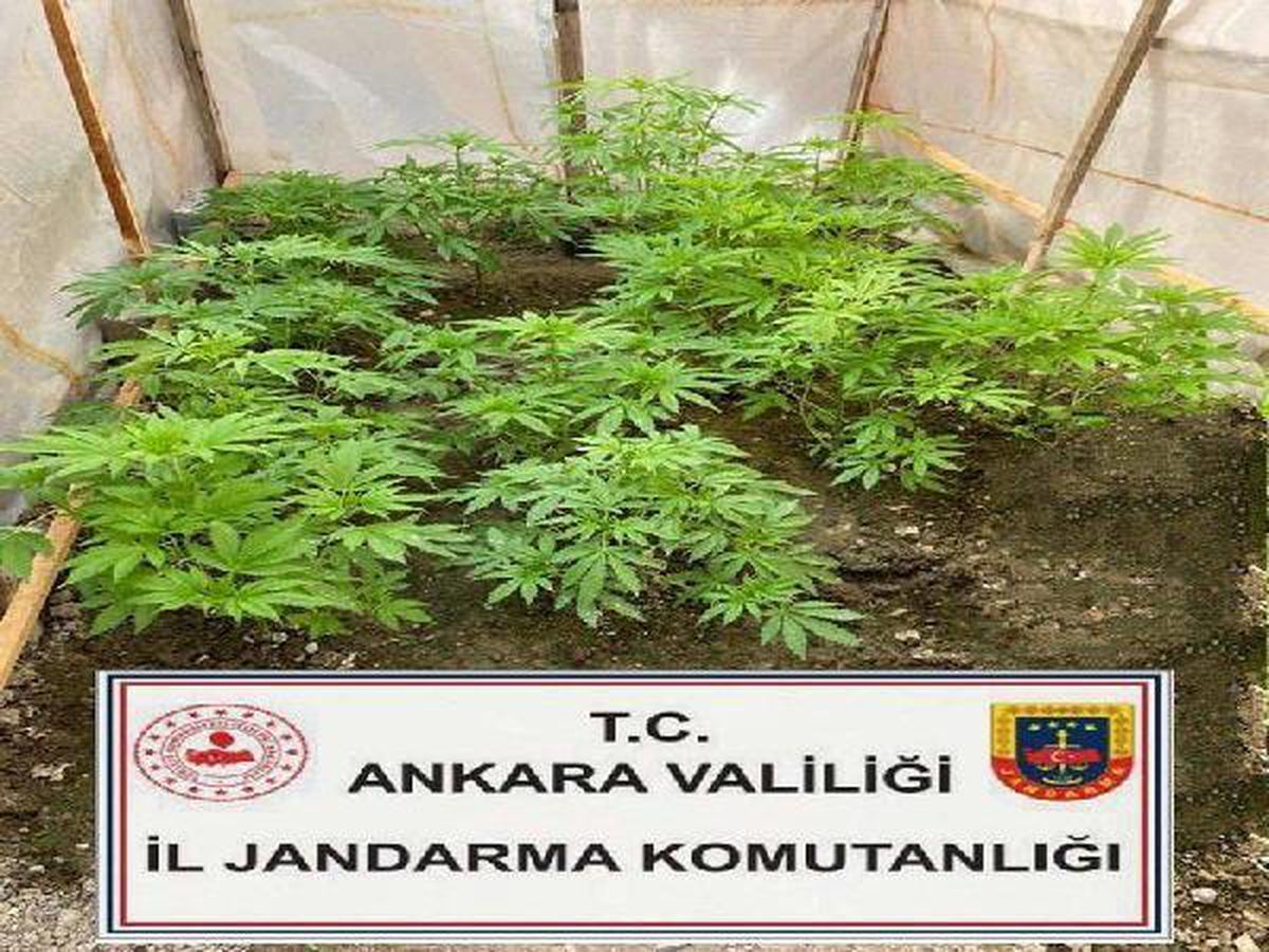 Ankara'da Uyuşturucu Operasyonu: 13 Gözaltı