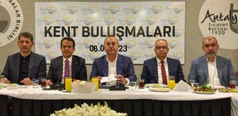 Çavuşoğlu: Avrupa'ya gaz tedariği yapmaya başladık