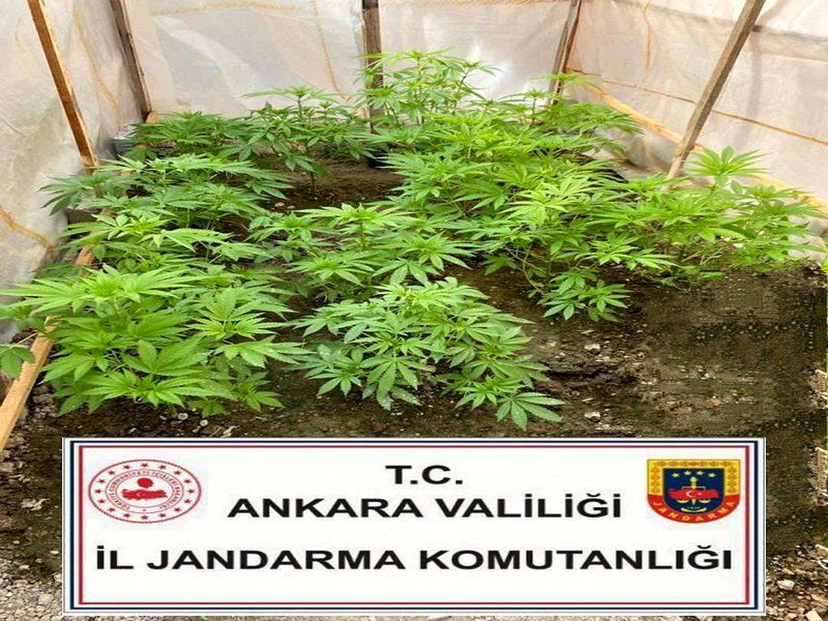 Başkentte uyuşturucuyla mücadele çalışmaları hız kesmeden devam ediyor