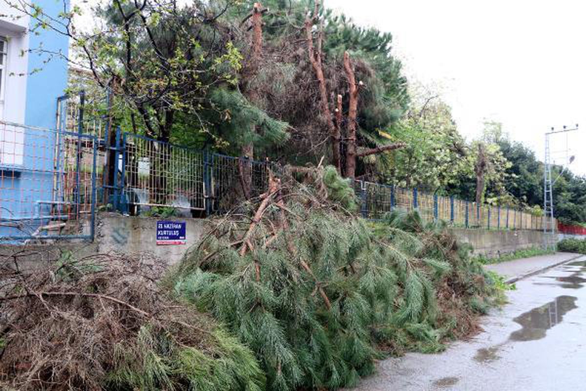 Zonguldak'ta elektrik tellerine temas eden ağaçlar budandı