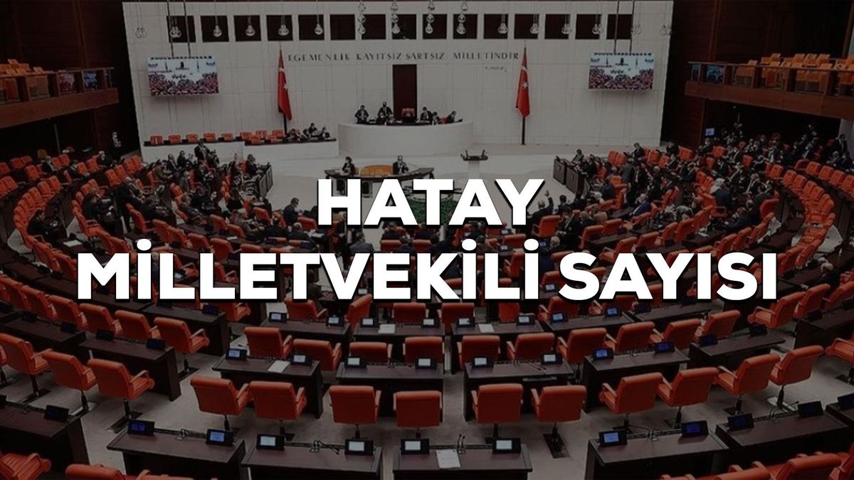 Hatay kaç milletvekili çıkarıyor 2023? Hatay kaç milletvekili var?