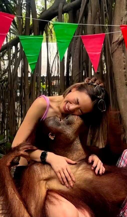 Hayvanat bahçesine giden genç turist orangutanın tacizine uğradı