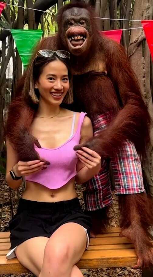Hayvanat bahçesine giden genç turist orangutanın tacizine uğradı