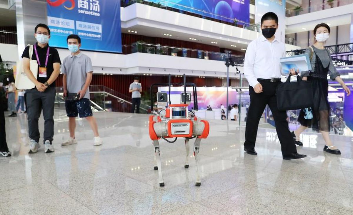 Hayvanlardan İlham Alan Çinli Araştırmacılar Robotları Araziyi Tanımak Üzere Eğitti