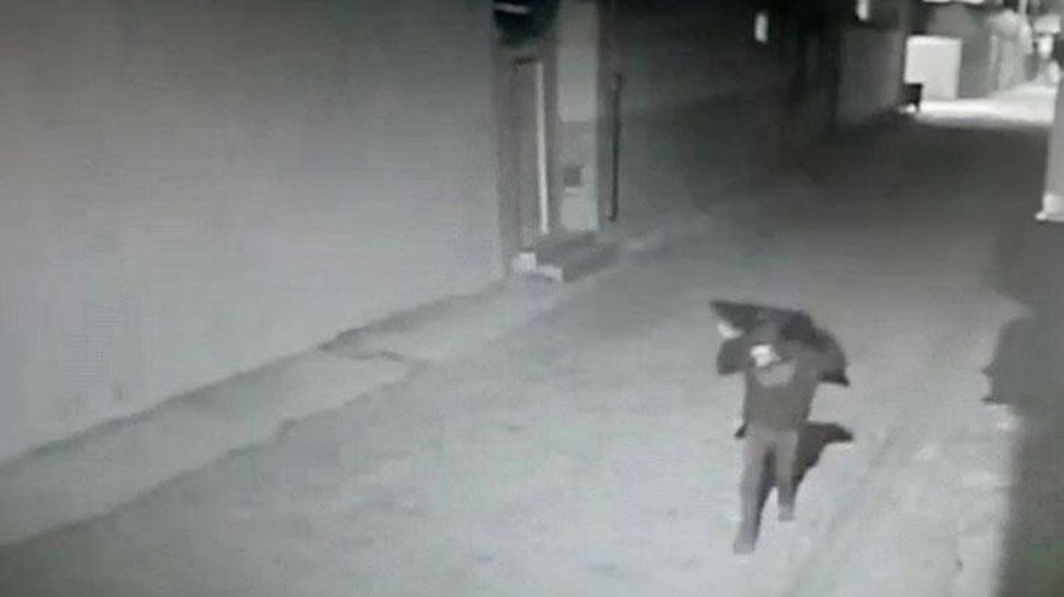Televizyonu sırtlayıp götüren hırsızın kimliği polisi bile şaşırttı