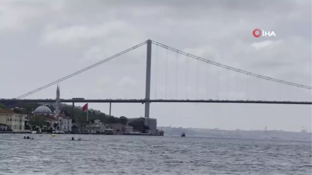 İstanbul Boğazı'nda istavrit bolluğu oltacıları sevindirdi