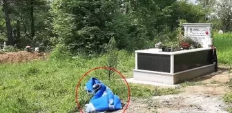 Birlikte yaşadığı kadını öldürüp, oğlunun mezarı başında intihar etti