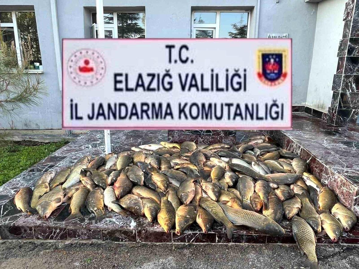 Elazığ'da kaçak balık avı yapan 3 şahsa, 49 bin lira ceza