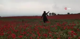 Manisalı fotoğrafçılar Pamukkale'de eğitim aldı