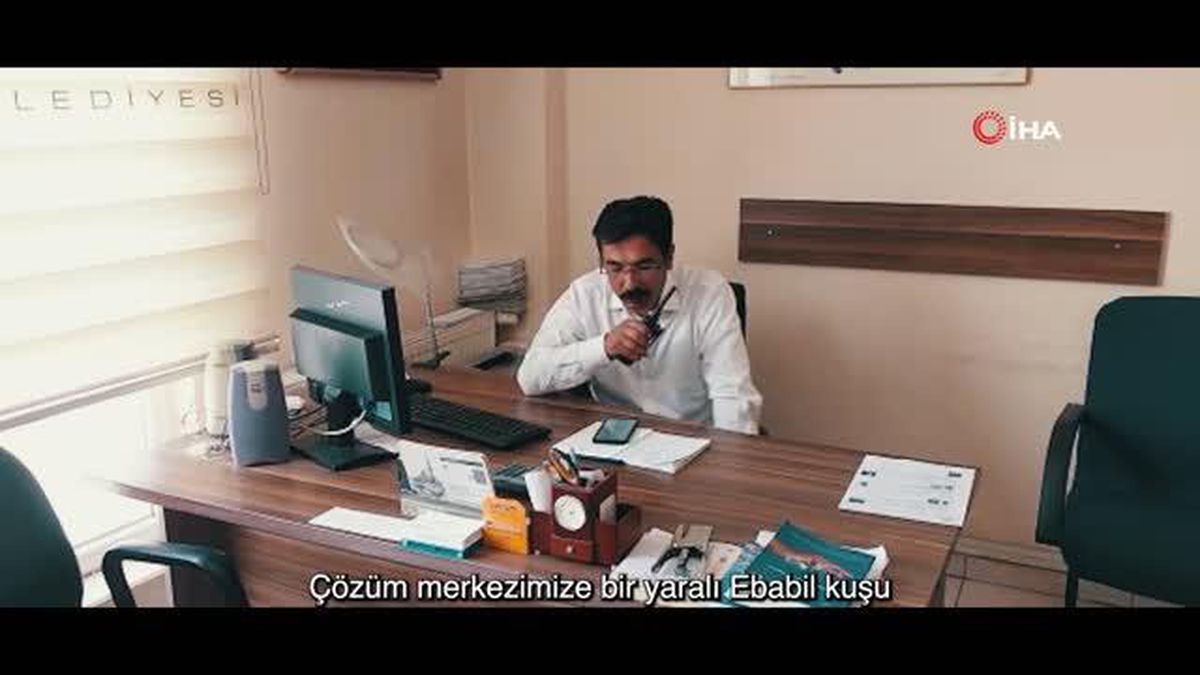 Yaralı ebabil kuşuna Kocasinan Belediyesi sahip çıktı