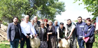 Başkan Çerçioğlu'ndan koyunları telef olan üretici kadına destek
