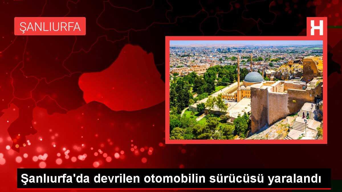 Şanlıurfa'da devrilen otomobilin sürücüsü yaralandı