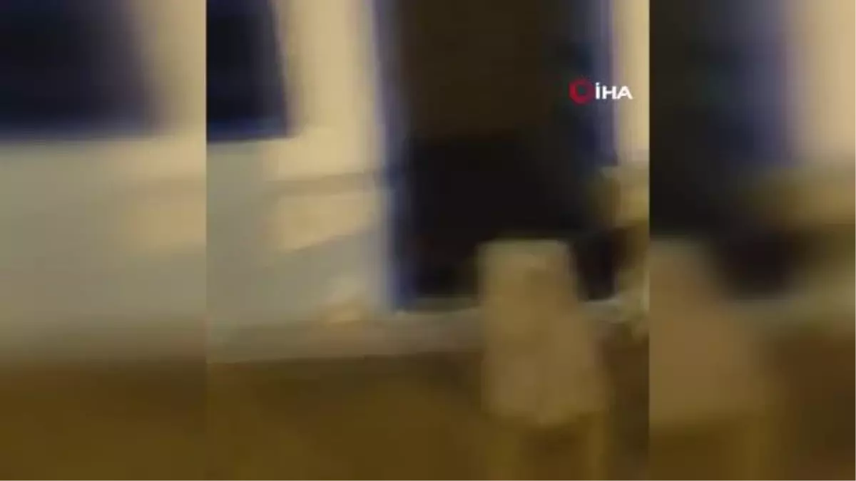 Tunus'ta sinagog yakınında silahlı saldırı: 4 ölü
