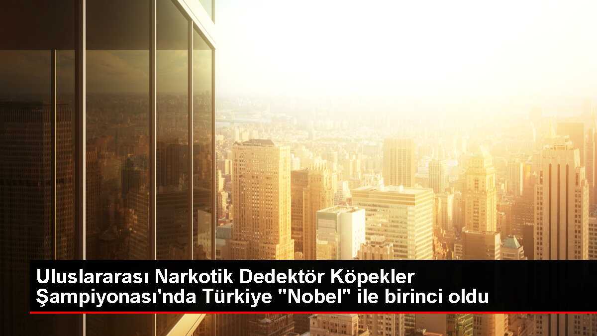 Uluslararası Narkotik Dedektör Köpekler Şampiyonası'nda Türkiye 'Nobel' ile birinci oldu