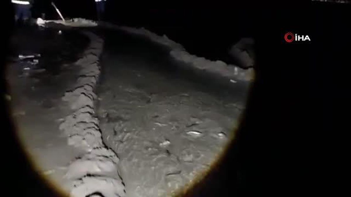 Van'da 2 ton inci kefali kurtarıldı