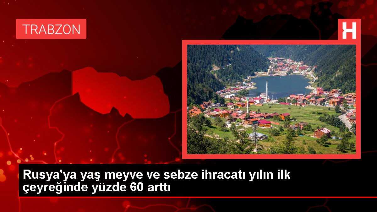Rusya'ya yaş meyve ve sebze ihracatı yılın ilk çeyreğinde yüzde 60 arttı