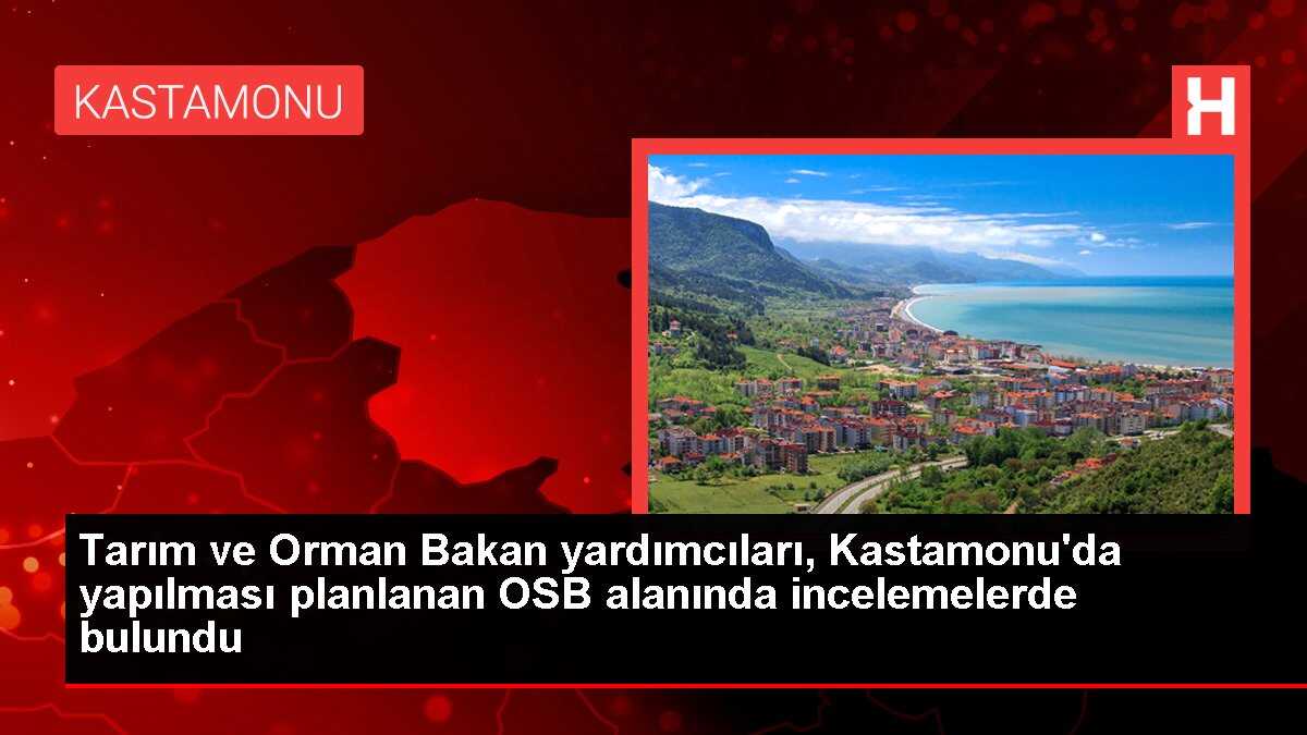 Tarım ve Orman Bakan yardımcıları, Kastamonu'da yapılması planlanan OSB alanında incelemelerde bulundu