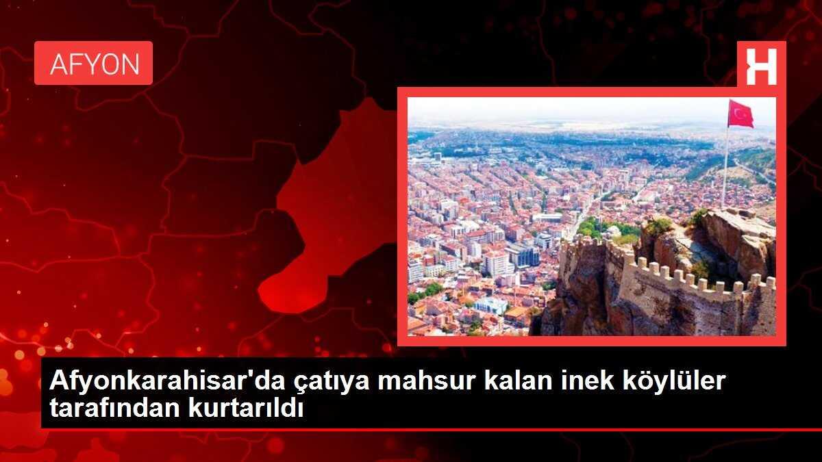 Afyonkarahisar'da çatıya mahsur kalan inek köylüler tarafından kurtarıldı