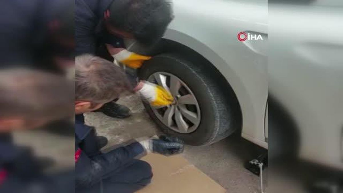 Otomobil tekerleğine sıkışan yavru kangal böyle kurtarıldı