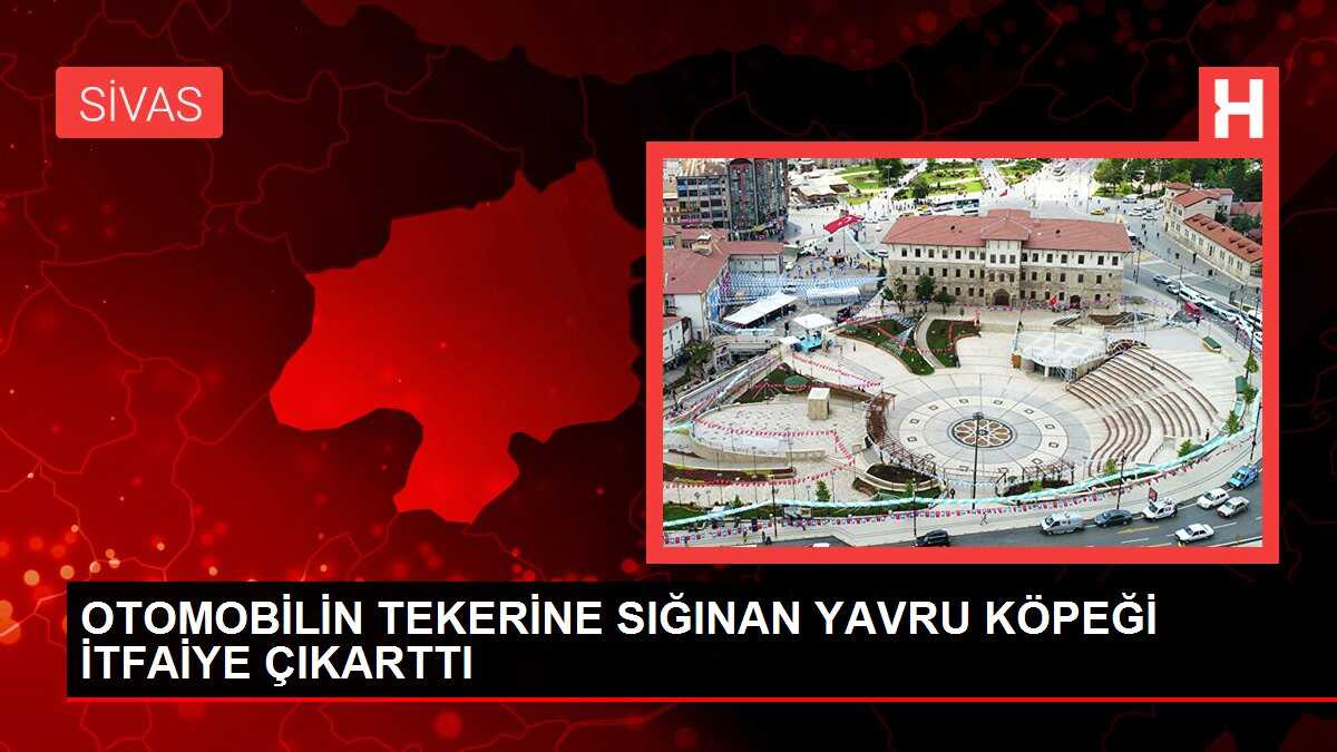 OTOMOBİLİN TEKERİNE SIĞINAN YAVRU KÖPEĞİ İTFAİYE ÇIKARTTI