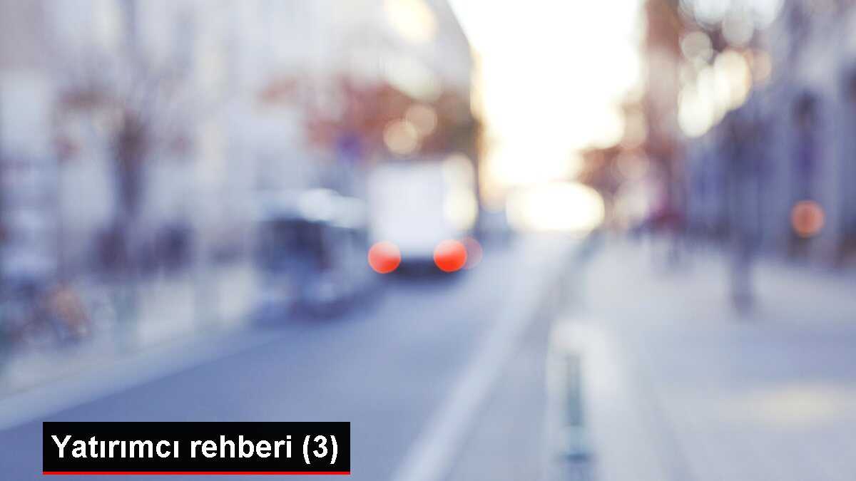 Yatırımcı rehberi (3)