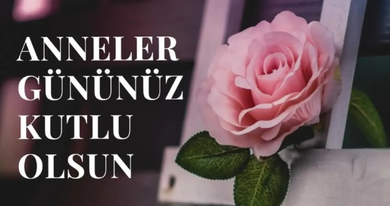 Anneler Günü şiirleri! Anneler Gününe özel duygusal, uzun mesajlar! 2023 Anneler Günü mesajları ve sözleri!