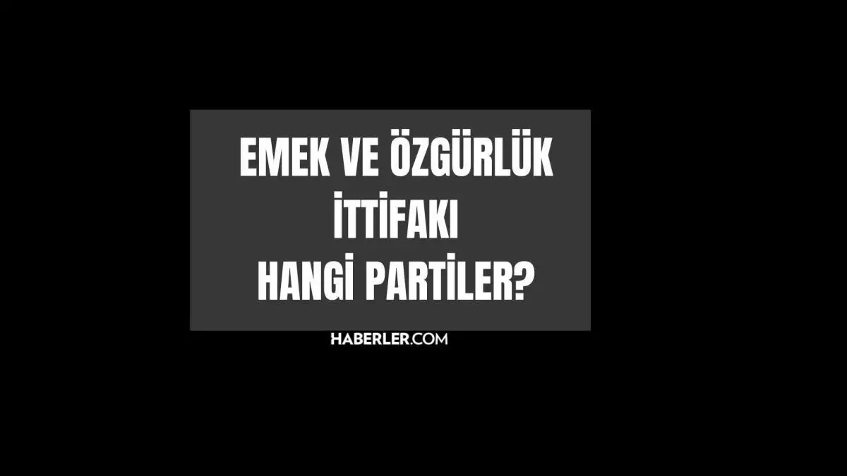 Emek ve Özgürlük İttifakı hangi partiler? Emek ve Özgürlük İttifakı kim?