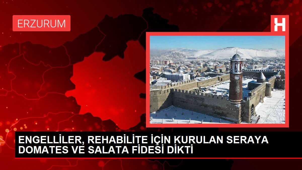 ENGELLİLER, REHABİLİTE İÇİN KURULAN SERAYA DOMATES VE SALATA FİDESİ DİKTİ