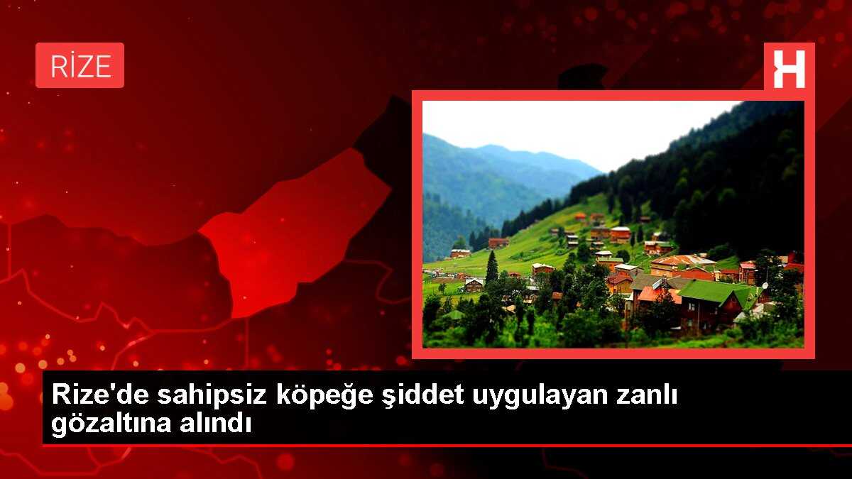 Rize'de sahipsiz köpeğe şiddet uygulayan zanlı gözaltına alındı