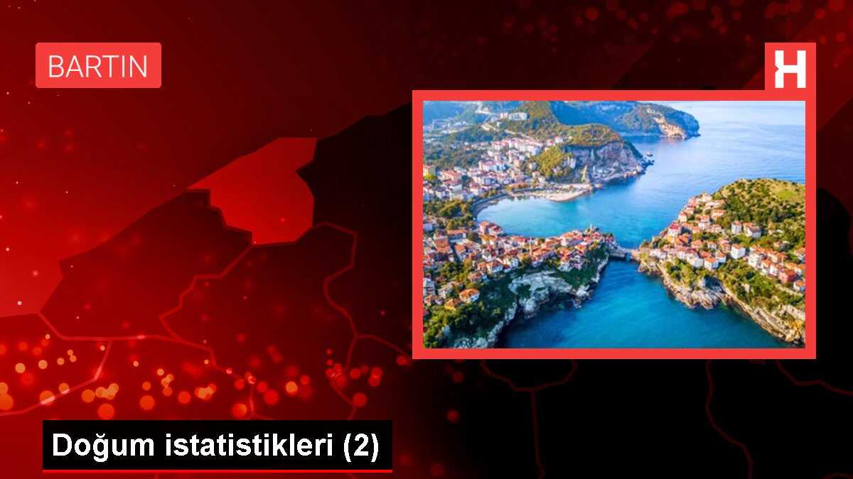 Doğum istatistikleri (2)