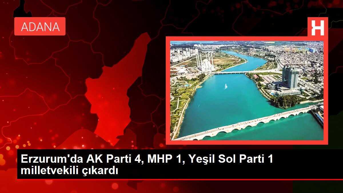 Erzurum'da AK Parti 4, MHP 1, Yeşil Sol Parti 1 milletvekili çıkardı