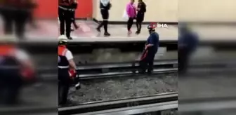 Raylara giren tavuk metro seferlerini aksattı