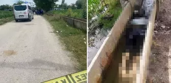 Adana'da ailesinin kayıp başvurusunda bulunduğu kadının cansız bedeni sulama kanalında bulundu