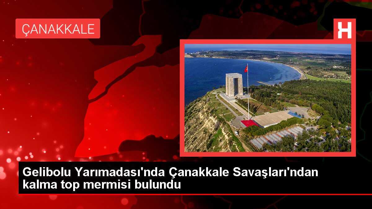 Gelibolu Yarımadası'nda Çanakkale Savaşları'ndan kalma top mermisi bulundu