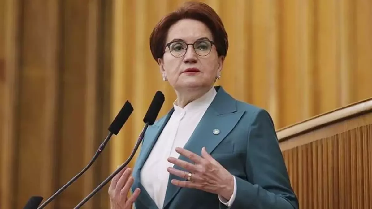 Seçimde beklentilerin altında bir oy oranı alan İYİ Parti'de ilk istifa geldi