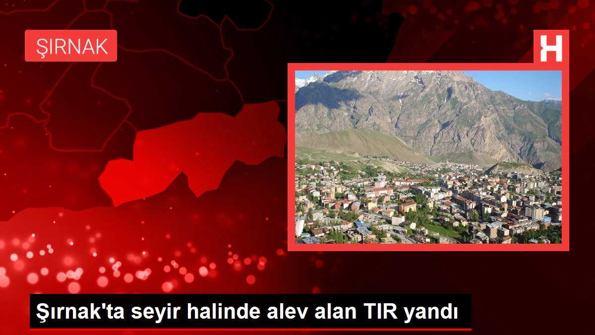 Şırnak'ta seyir halinde alev alan TIR yandı