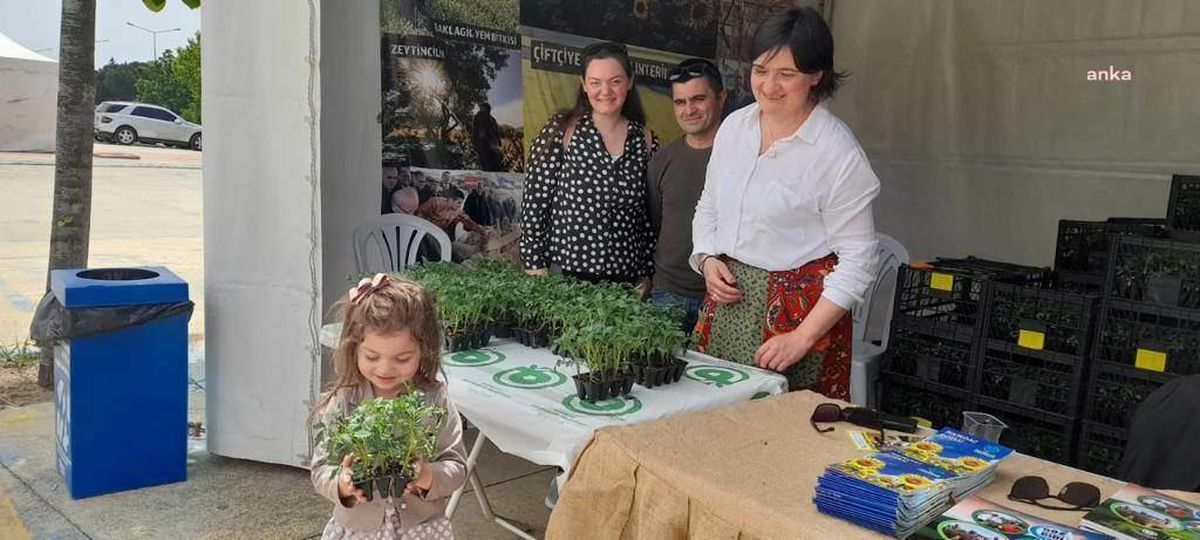 Tekirdağ Büyükşehir Belediyesi, Halka 35 Bin Domates Fidesi Dağıtacak