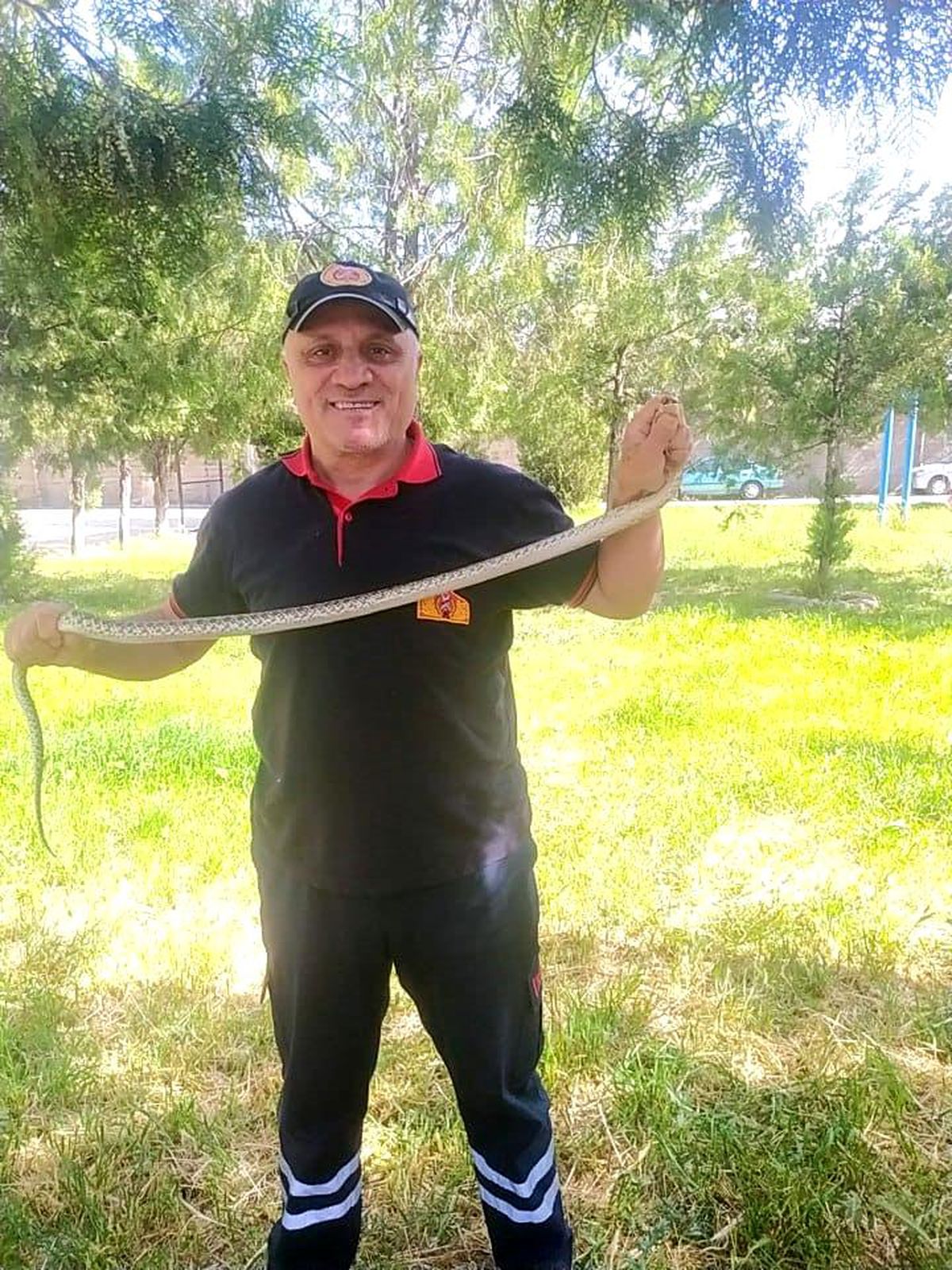 Ağaca çıkan yılan paniğe neden oldu