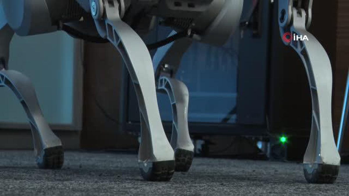 Çinli teknoloji firmasının ürettiği robot köpekler Türk firması tarafından hizmete sunulacak
