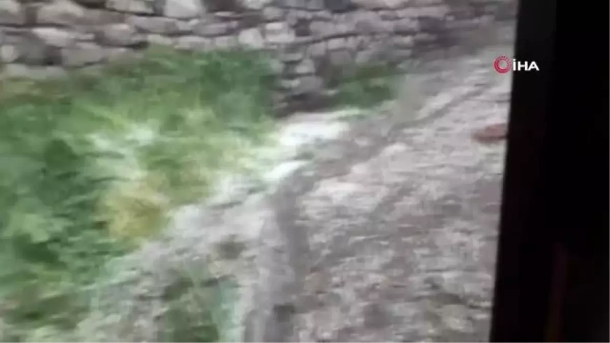 Yenice'de dolu yağışı etkili oldu