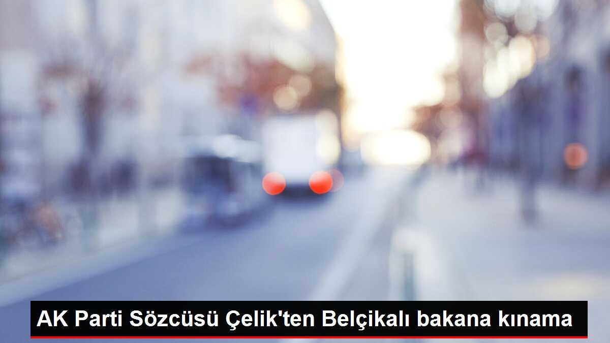AK Parti Sözcüsü Çelik'ten Belçikalı bakana kınama